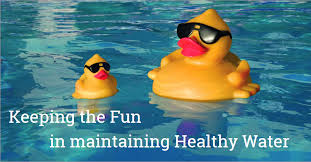 Floating Chlorinators