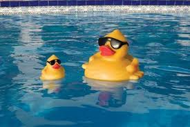 Floating Pool Chlorinators - Medium by Game