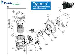 Pentair Dynamo Above Ground Pump Replacement Parts List